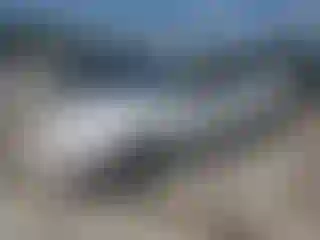 Vehicle Image- 1994 Toyota Corolla