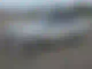 Vehicle Image- 1991 Toyota Corolla