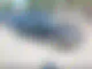 Vehicle Image- 2001 Toyota Corolla