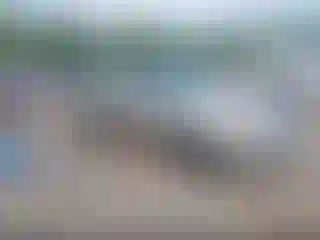 Vehicle Image- 1998 Toyota Corolla