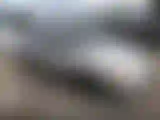 Vehicle Image- 2000 Toyota Corolla