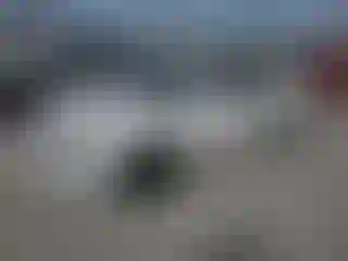 Vehicle Image- 2001 Toyota Corolla