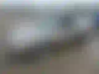 Vehicle Image- 2002 Toyota Corolla