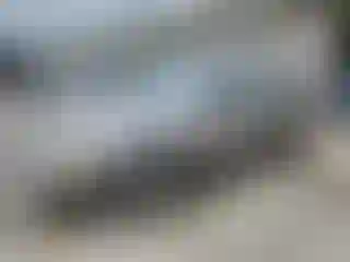 Vehicle Image- 1999 Toyota Corolla