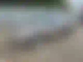 Vehicle Image- 2001 Toyota Corolla