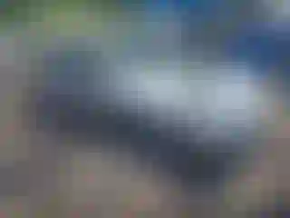 Vehicle Image- 1998 Toyota Corolla