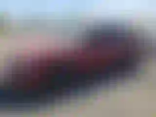Vehicle Image- 2000 Toyota Corolla