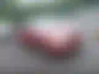 Vehicle Image- 2001 Toyota Corolla