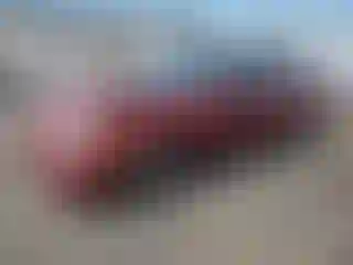 Vehicle Image- 2001 Toyota Corolla