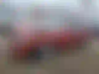 Vehicle Image- 2001 Toyota Corolla