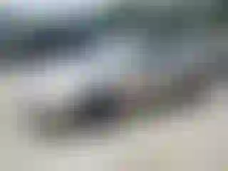 Vehicle Image- 2000 Toyota Corolla