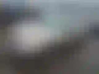 Vehicle Image- 2001 Toyota Corolla