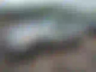Vehicle Image- 2002 Toyota Corolla