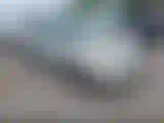 Vehicle Image- 1999 Toyota Corolla