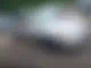 Vehicle Image- 1999 Toyota Corolla