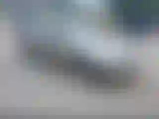 Vehicle Image- 2000 Toyota Corolla