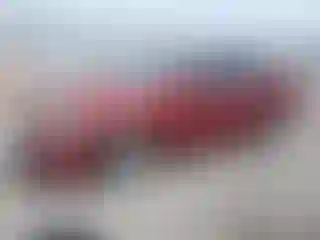 Vehicle Image- 2005 Toyota Corolla