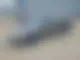 Vehicle Image- 2003 Toyota Corolla