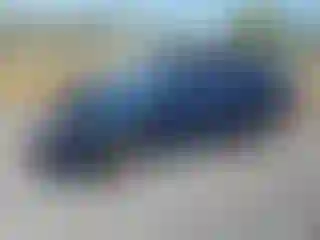 Vehicle Image- 2003 Toyota Corolla