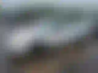 Vehicle Image- 2006 Toyota Corolla