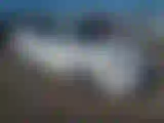 Vehicle Image- 2007 Toyota Corolla