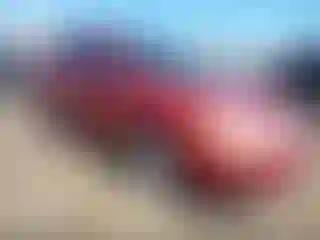 Vehicle Image- 2003 Toyota Corolla