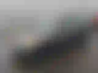 Vehicle Image- 2004 Toyota Corolla