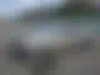 Vehicle Image- 2003 Toyota Corolla