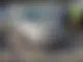 Vehicle Image- 2006 Toyota Corolla