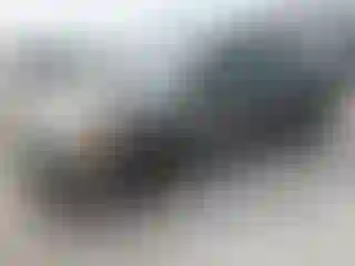 Vehicle Image- 2006 Toyota Corolla