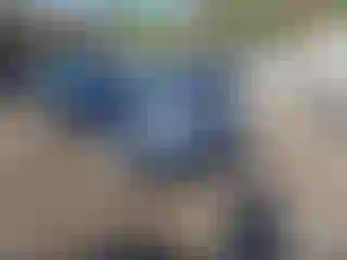 Vehicle Image- 2007 Toyota Corolla