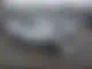 Vehicle Image- 2008 Toyota Corolla