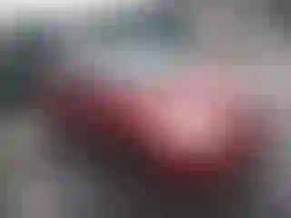 Vehicle Image- 2008 Toyota Corolla