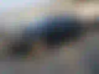 Vehicle Image- 2008 Toyota Corolla