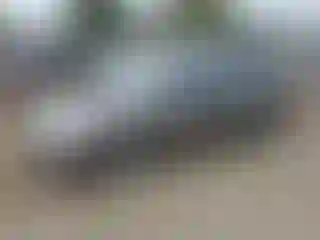 Vehicle Image- 2003 Toyota Corolla