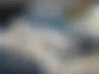 Vehicle Image- 2004 Toyota Corolla