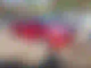 Vehicle Image- 2006 Toyota Corolla