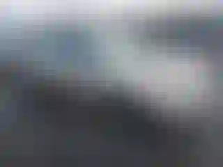 Vehicle Image- 2008 Toyota Corolla