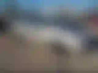 Vehicle Image- 2003 Toyota Corolla