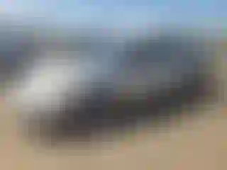 Vehicle Image- 2004 Toyota Corolla