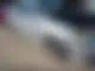 Vehicle Image- 2003 Toyota Corolla