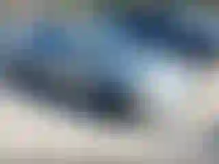 Vehicle Image- 2004 Toyota Corolla