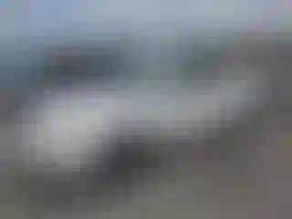 Vehicle Image- 2008 Toyota Corolla