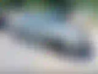 Vehicle Image- 2004 Toyota Corolla