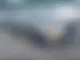 Vehicle Image- 2005 Toyota Corolla