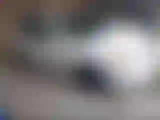 Vehicle Image- 2008 Toyota Corolla