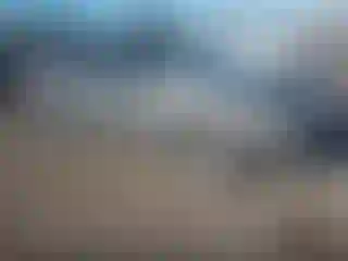 Vehicle Image- 2008 Toyota Corolla