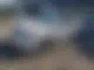 Vehicle Image- 2003 Toyota Corolla