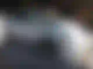 Vehicle Image- 2003 Toyota Corolla