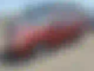 Vehicle Image- 2004 Toyota Corolla